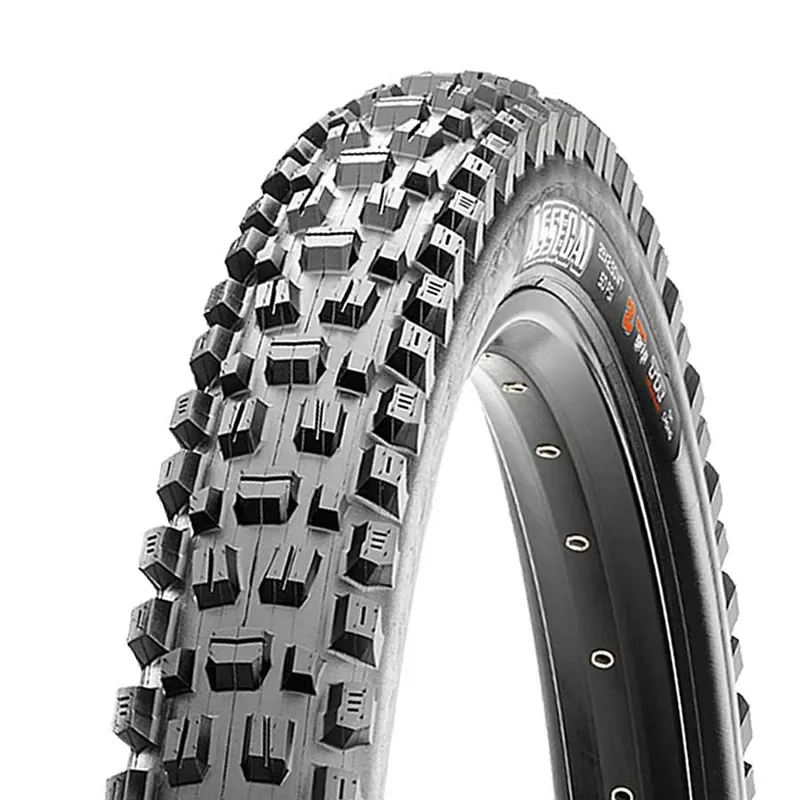 Maxxis Assegai Tubeless Ready 29x2.50-inch Folding MTB Tyre in Black