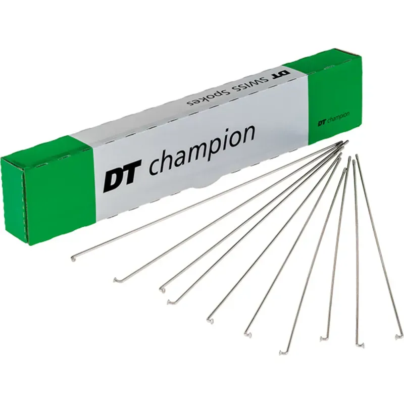 DT Swiss Champion 100-pack Silver Spokes - 2x285mm