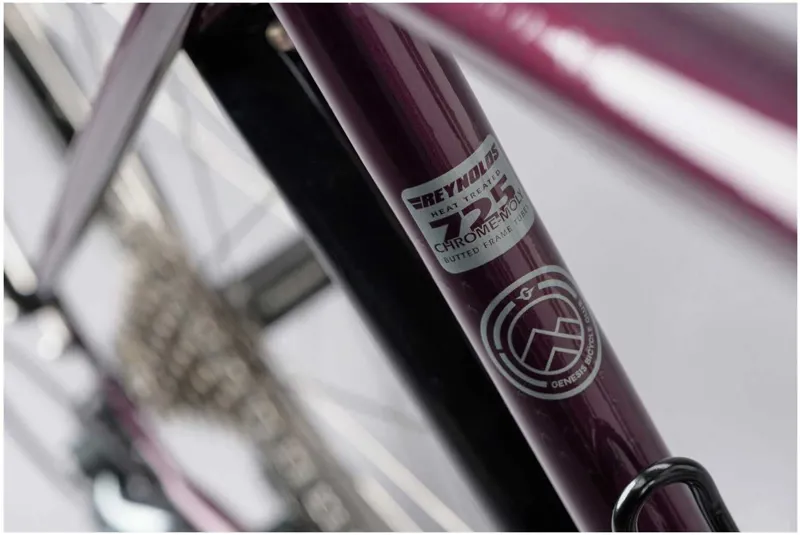 Genesis Tour De Fer 30 in Large Purple-6