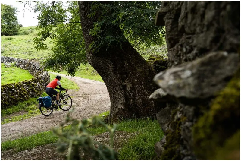 Genesis Tour De Fer 30 in Large Purple-13