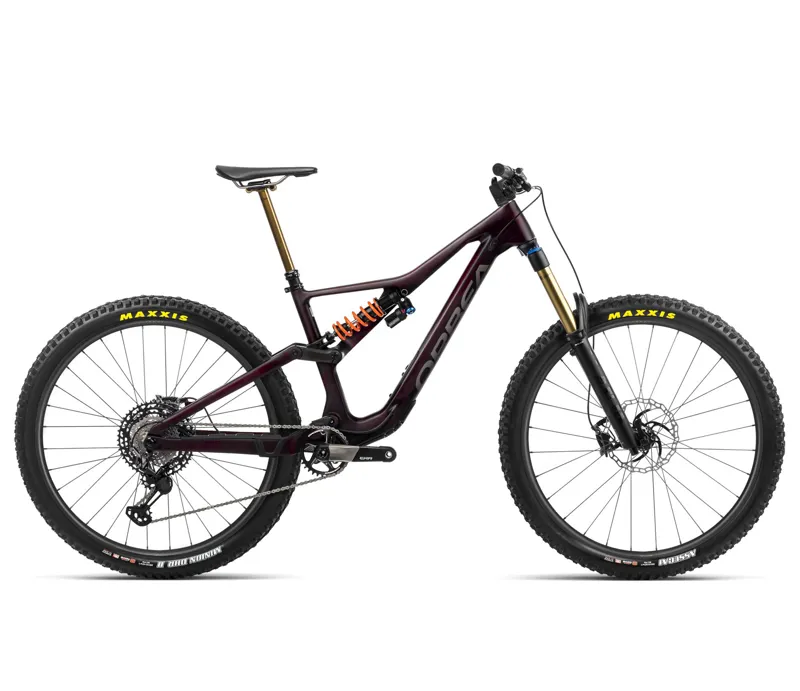 Orbea Rallon M-Ltd Mountain Bike In Wine Red Carbon