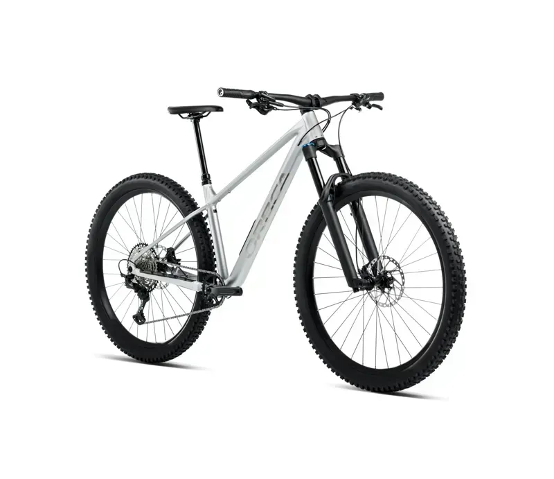 Orbea Laufey H- Ltd Mountain Bike in Smooth Silver Matt/Titanium Gloss-1