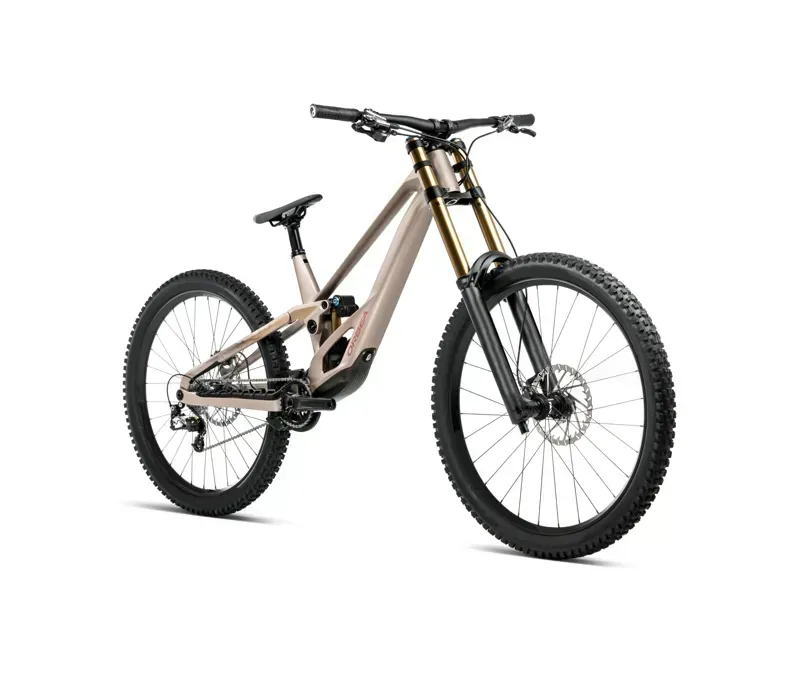 Orbea Rallon DH-LTD Mountain Bike In Nickel Matt/Nickel Chrome Gloss-1