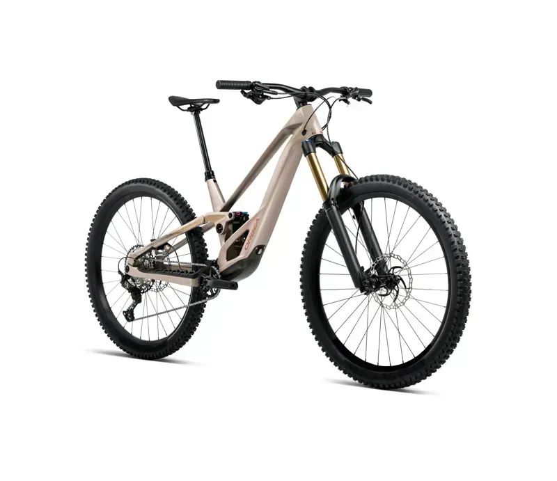 Orbea Rallon E10 Mountain Bike In Nickel Matt/Nickel Chrome Gloss-1