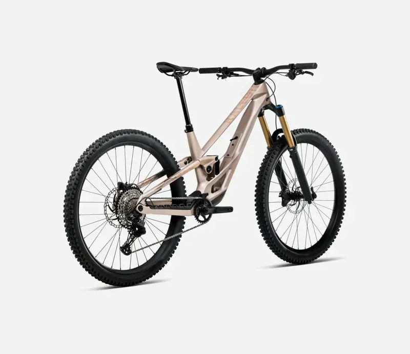 Orbea Rallon E-LTD Mountain Bike in Nickel Matt Nickel Chrome Gloss-2
