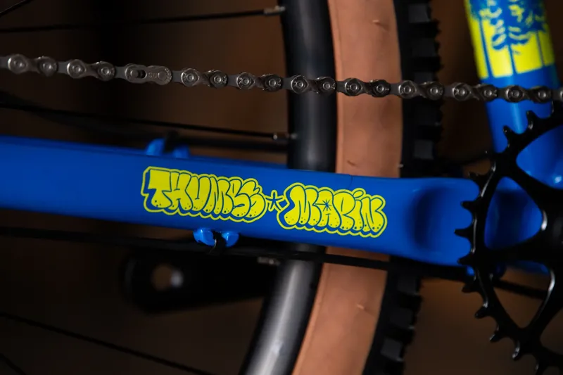 Marin Bobcat Trail 3 29 inch Artist Edition Thumbs Mountain Bike-5