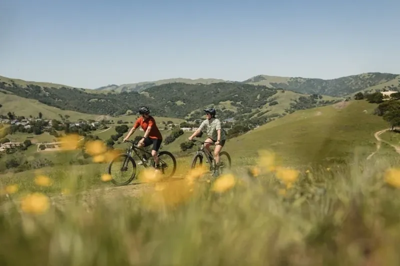 Marin Bolinas Ridge 2 XC Mountain Bike in Black-1
