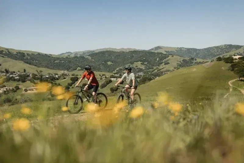 Marin Bolinas Ridge 29in Mountain Bike in Black/Silver-4