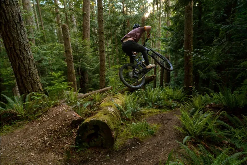 Marin Alpine Trail EXR Mountain Bike in Black-3