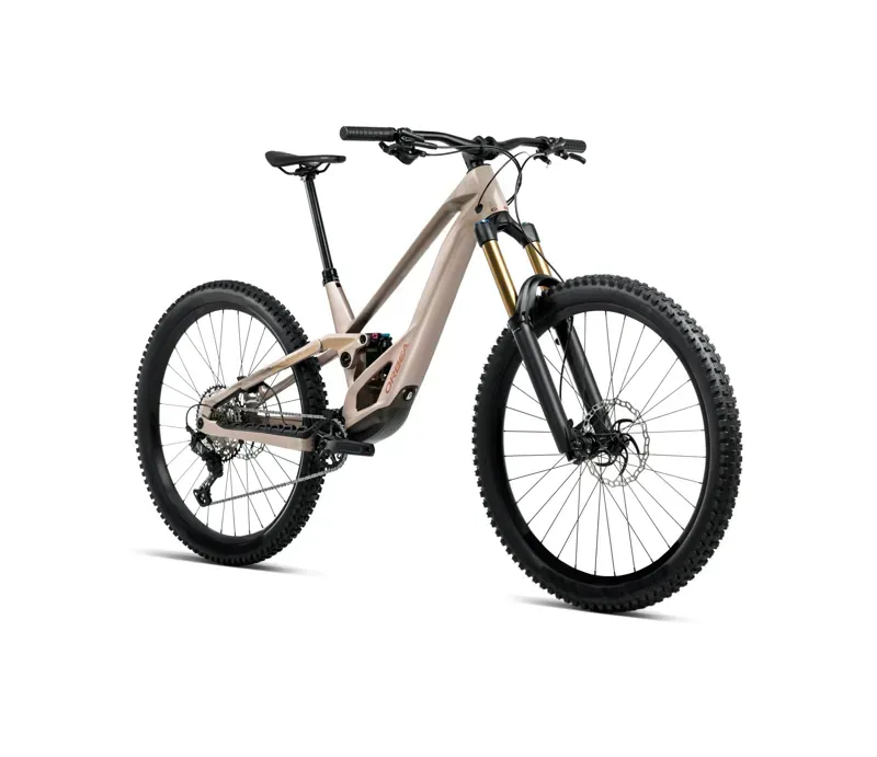 Orbea Rallon E-Team MTB in Nickel Matt/Nickel Chrome Gloss-1