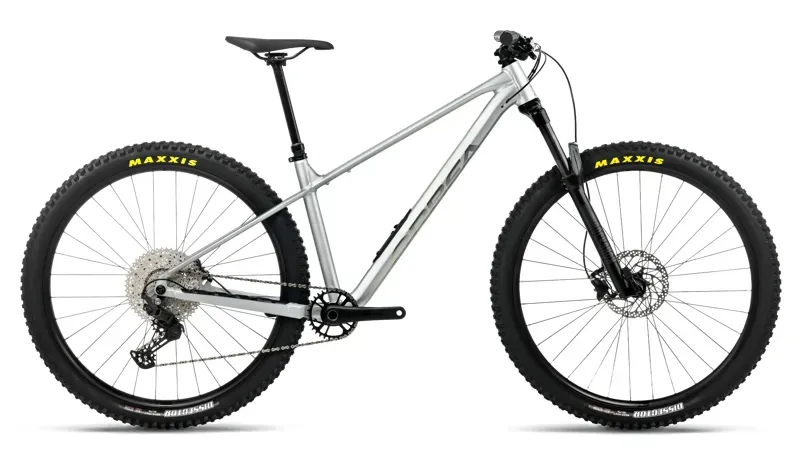 Orbea Laufey H30 Mountain Bike in Smooth Silver Matt - Titanium