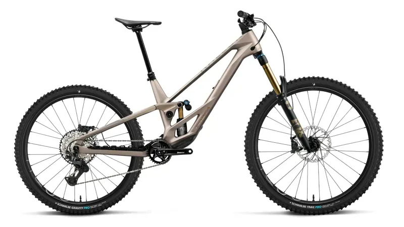 Orbea Rallon E-Team Mountain Bike in Nickel Matt - Nickel Chrome