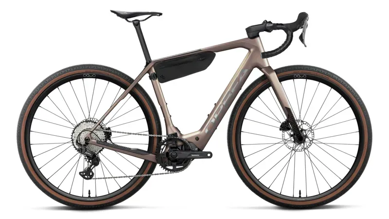 Orbea Denna M20 Gravel eBike in Nickel Matt - Carbon Raw