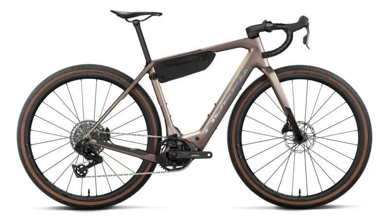 Orbea Denna M31e Gravel eBike in Nickel Matt - Carbon Raw